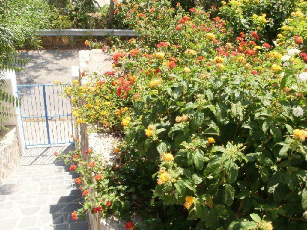 Penelope & Calypso Villa Acquacalda Oda fotoğraf